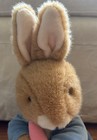 Vintage Eden Toys Peter Rabbit 16    Stuffed Plush Toy Beatrix Potter Bunny-mint