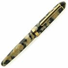 Platinum  3776 Celluloid Fountain Pen Ishigaki Medium Nib Ptb-35000s 67-3