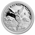 2023 Mexico Proof Silver Libertad 5 Coin Set  1 20 1 10 1 4 1 2   1 Oz  Capsules