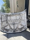 Subaru Legacy 1990 Thru 1999  Includes Legacy Outback And Legacy Brighton Hood