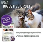 Feline Digestive Upsets  Natural Pet Digestive Support For Cats And Kittens     