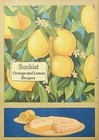 1916 Sunkist Recipes Oranges-lemons - E12-b