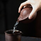 Chinese Yixing Zisha Purple Mud Sand Pottery Handmade 140cc Tortoiseshell Teapot