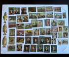 Vintage Tobacco  Card Lot Of 50  German American Explorers Actresses Animals