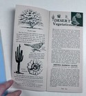 Vintage Travel Brochure Desert Vegetation Near Tucson 