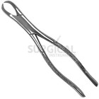Dental Tooth Extracting Forceps  23 Cow Horn Lower Molar Stainless German Grade