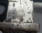 Wwi German Sawback Bayonet- Carl Eickhorn Marked- No Scabbard - Super Rare    