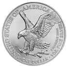 Lot Of 5 2023 1oz American Silver Eagle  1 Coin 999 Silver Bu