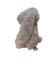 Jellycat Beige Tan Bashful Bunny Plush Floppy Ears Stuffed Animal Toy 11 