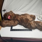 28  Ty Brown Bear Large Paws Classic Plush