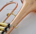 Professional Rose Brass Engraving On Bell Flugelhorn Bb Key Monel Valve New Case