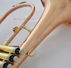 Usa Weibster Rose Brass Engraving On Bell Flugelhorn Bb Key Monel Valve New Case