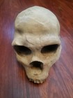 Neanderthal Skull Homo Neanderthalensus Realistic High Precision Replica