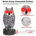 Realistic Owl Decoy W  Sound   Lighting Eyes Outdoor Garden Repellent Bird Scare