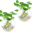 Transparent Glass Vase Wall Hanging Hydroponic Terrarium Fish Tanks Potted Plant