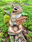 Chipmunk Taxidermy  Eastern Chipmunk Mount  Squirrel Taxidermy  Wildlife  Gift  