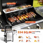 Outdoor Gas Grill 30000 Btu Propane Bbq Stainless Steel Portable