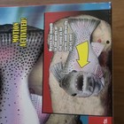 Vintage Gemmy Travis The Trout Singing Fish Animated Open Box New W  Adapter