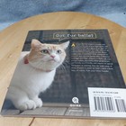 Crafting With Cat Hair   Little Felted Animals Book Lot Needle Felting Diy Books