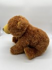 Kohls Cares Brown Bear Plush 12   Eric Carle Stuffed Animal Toy 2012