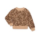 Wonder Nation Girls Xs Cheetah Sweatshirt Black Flare Pants 2pc Set Nwt