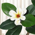 Garveehome Rubber Tree 7 Ft Artificial Tree In White Planter Pot Faux Plants