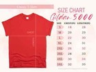 New Limited Vintage Astrology May June Birthday Zodiac Sign Gemini T-shirt