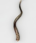 Shofar Yemenite Kudu Horn Xxxl 45 -50  Inches Half Polished Kosher