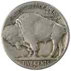 1 Buffalo Nickel Indian Head 5 Cent 1913-1938 Random Date Us Mint  circulated 