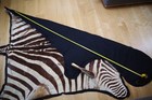 Vintage Zebra Skin Rug   Wall Hanging   With Thick Felt Backing