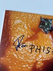 Trey Anastasio Signed Phish Band A Picture Of Nectar Vinyl Album Singer Bas