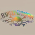 Harley Davidson Skull Flames Holographic Decal 8 5x4in Vinyl Sticker For Car