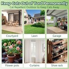 12 Pack Cat Repellent Outdoor Indoor  Cat   Dog Nature Repellents Peppermint    