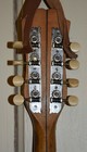 Very Cool Platophone Banjo Mandolin Made By J Pacheco With Internal Resonator