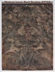 Stunning Stabilized Claro Walnut Lace Burl Scales  7795  5 3 4 X 2 1 4 X 3 8  