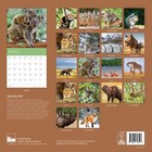 Wildlife 18 Month Wall Calendar  July 2025 - Dec 2026  12 X 24 Open  Nature