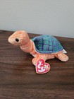 Ty Beanie Baby Lot Of 2 Peekaboo And Speedy Turtle Plush Stuffed Animals Nwt 