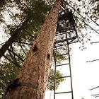 Rivers Edge Relax 2-man Ls Ladder Stand  16   10    Height  Lockdown Strap System