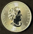 2018 Canada  10 Twin Maple Leaves Silver Coin 2oz Elizabeth Ii Obverse  9999