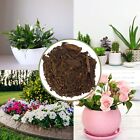 Hardwood Mulch For Houseplants 4qt  Indoor outdoor Shredded Wood Mulch