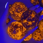 Natural Yooperlite Full Moon Sphere Uv Glow Stone Crystal Healing Ornament Decor
