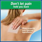 Salonpas Pain Relieving Patch  Large  6 Count  For Back  Neck  Shoulder Patches