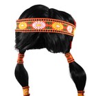 Native American Indian Women s Maiden Braided Wig With Feather Headband