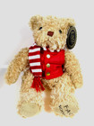 Fao Schwarz Red Teddy Bear Plush   New Anniversary 12  Stuffed Animal Dress-up