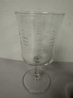 Vintage Mid Century Princess Glass Etched Martini Cocktail Pitcher 7      2 Goblet