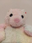 Vintage Ty Baby Plush Bearbaby Bear Rattle Rainbow Pastel 1999 Tie Dye Lovey Nwt