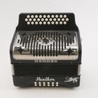Hohner 3100gb 31-key Panther Diatonic Accordion