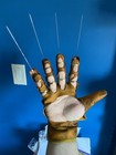 Part 1 Freddy Glove  medium 