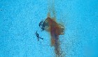 2 Lb Sparkle Stainoff Stain Remover Swimming Pools Treats 20 000 Gallons - 3075