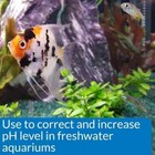 Api Ph Up Freshwater Aquarium Water Ph Raising Solution 16 Ounce Bottle